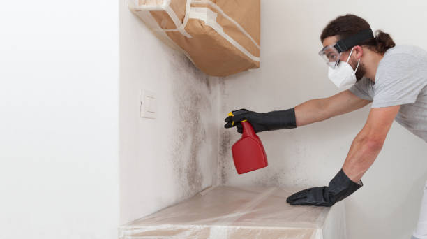 Professional Attic Mold Remediation technician working in Falkland, NC